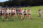 Girls Under-16s 2026 Northern Cross Country Relays, Graves Park, Sheffield. Photo: David T. Hewitson/Sports for All Pics